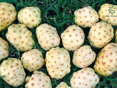 Công dụng và cách làm nước cốt trái nhàu nguyên chất