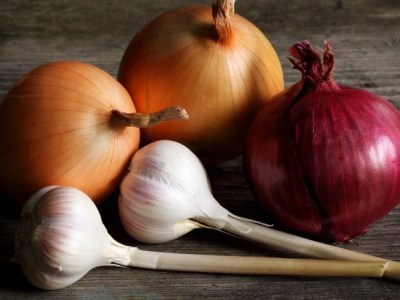 Nguồn cung cấp Prebiotic tốt nhất