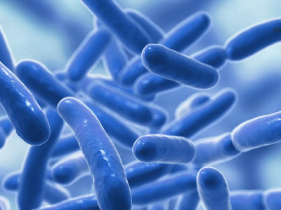 Probiotic và prebiotic khác nhau như thế nào?