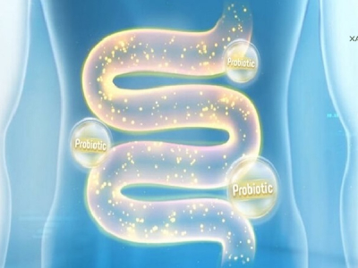 Quy trình hoạt động đầy bất ngờ của Probiotic