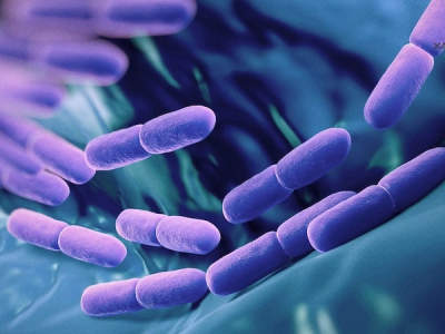 Vai trò của Probiotic đối với bệnh lý tiêu hoá thường gặp